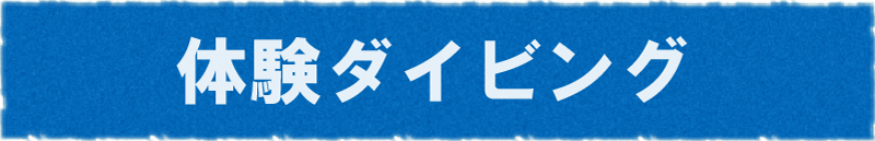 discover diver