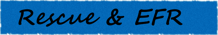 レスキュー＆EFR