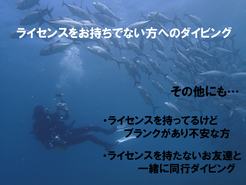 体験ダイビング