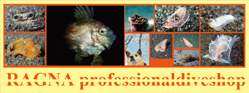 ラグナでダイビング