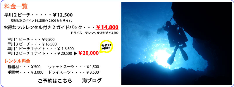 料金表